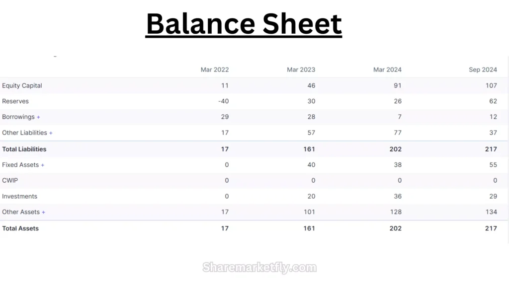 Integra Essentia Balance Sheet